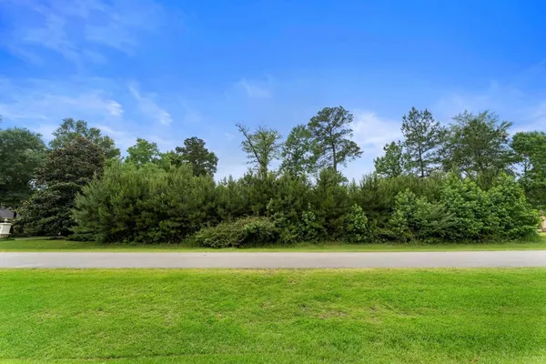 a view of backyard with green space