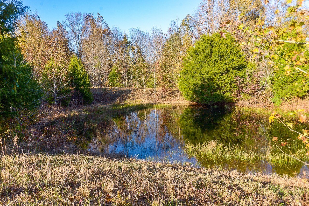 0 Clay Jones Road Taft, TN 38488 - Photo 1 of 30