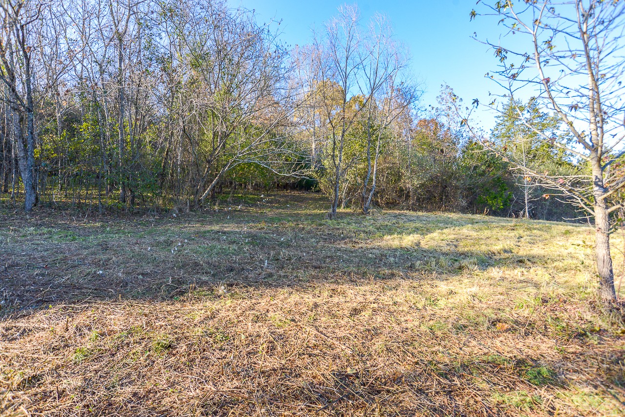 0 Clay Jones Road Taft, TN 38488 - Photo 11 of 30