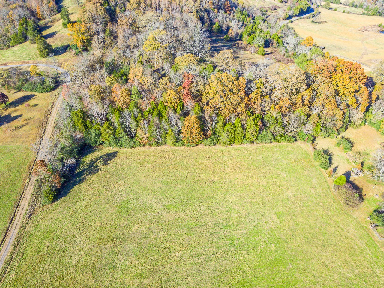 0 Clay Jones Road Taft, TN 38488 - Photo 12 of 30