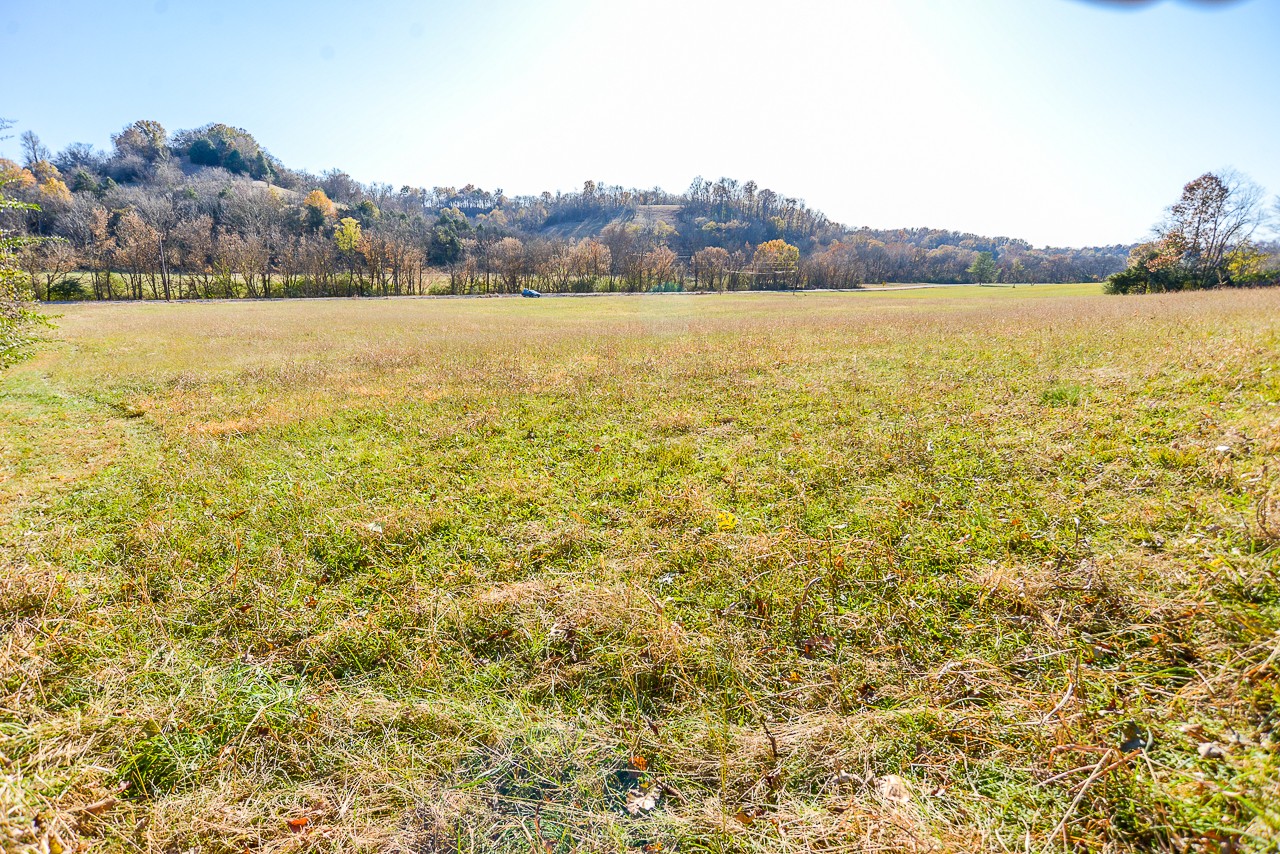 0 Clay Jones Road Taft, TN 38488 - Photo 13 of 30