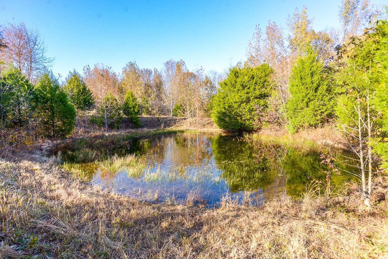 0 Clay Jones Road Taft, TN 38488 - Photo 15 of 30