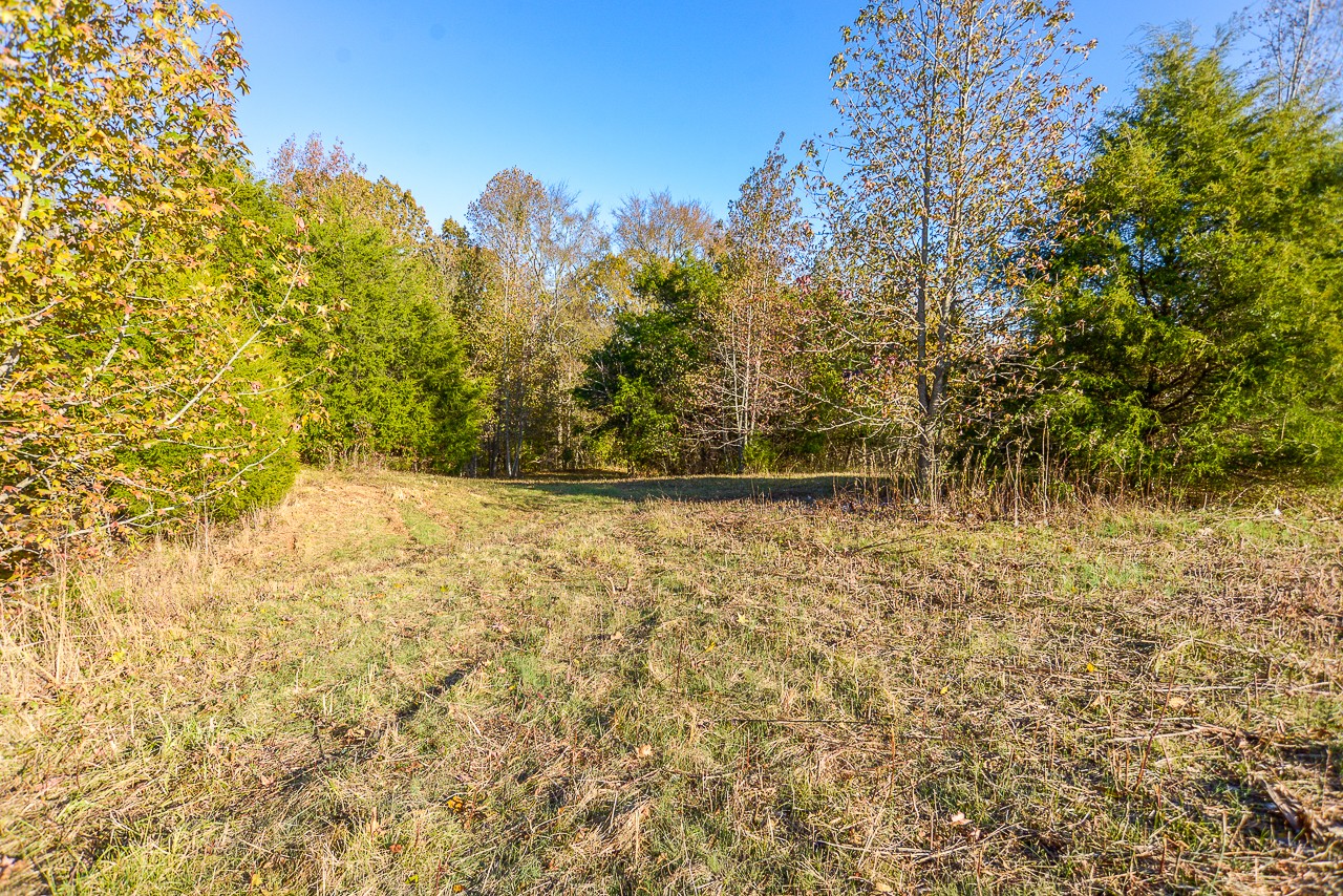 0 Clay Jones Road Taft, TN 38488 - Photo 16 of 30