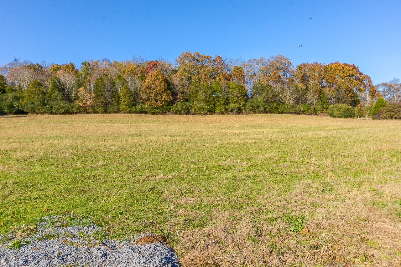 0 Clay Jones Road Taft, TN 38488 - Photo 19 of 30