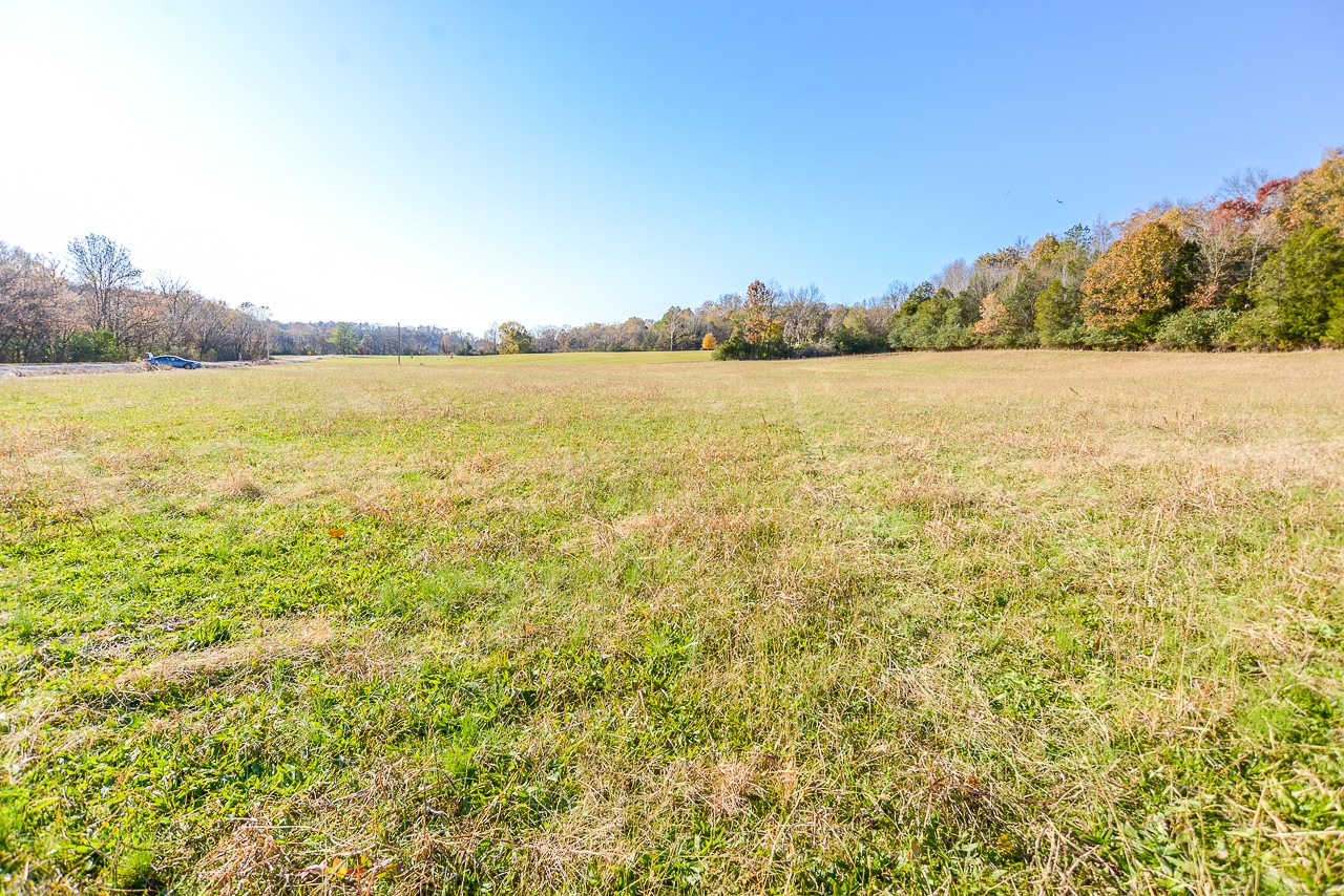 0 Clay Jones Road Taft, TN 38488 - Photo 20 of 30