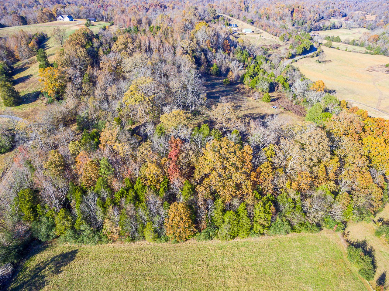 0 Clay Jones Road Taft, TN 38488 - Photo 21 of 30
