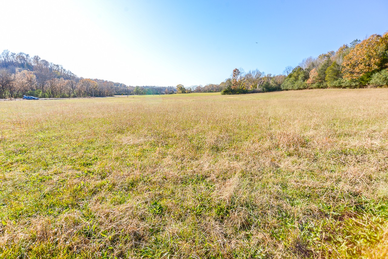 0 Clay Jones Road Taft, TN 38488 - Photo 23 of 30