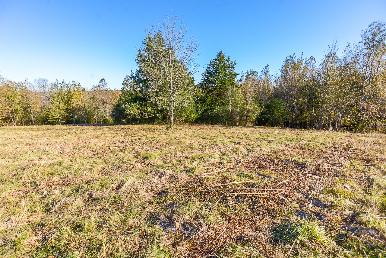 0 Clay Jones Road Taft, TN 38488 - Photo 27 of 30