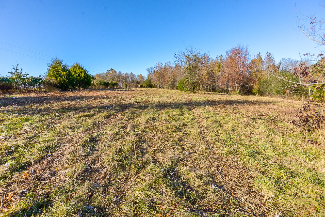 0 Clay Jones Road Taft, TN 38488 - Photo 29 of 30