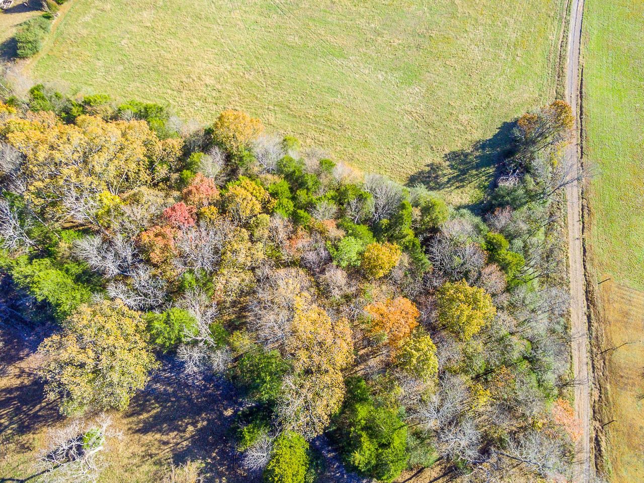 0 Clay Jones Road Taft, TN 38488 - Photo 30 of 30