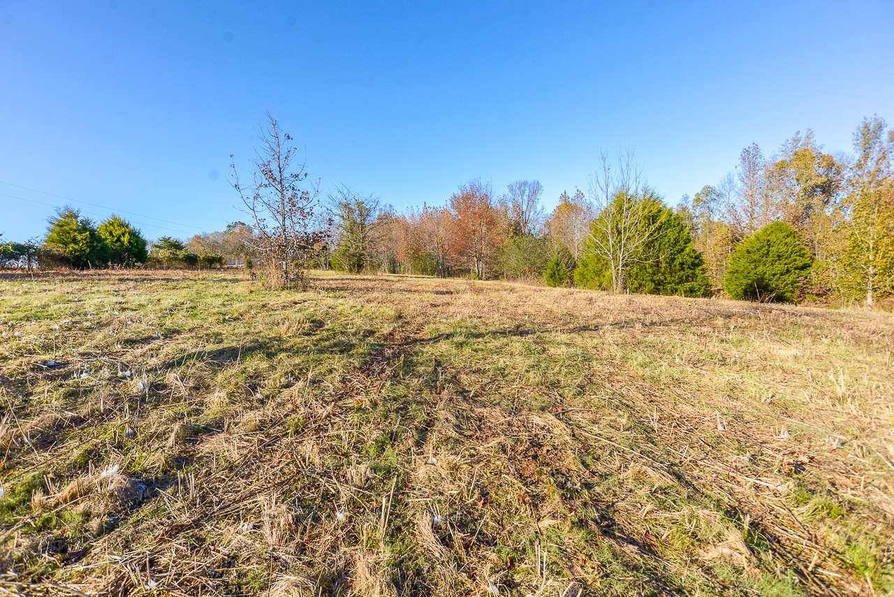 0 Clay Jones Road Taft, TN 38488 - Photo 3 of 30