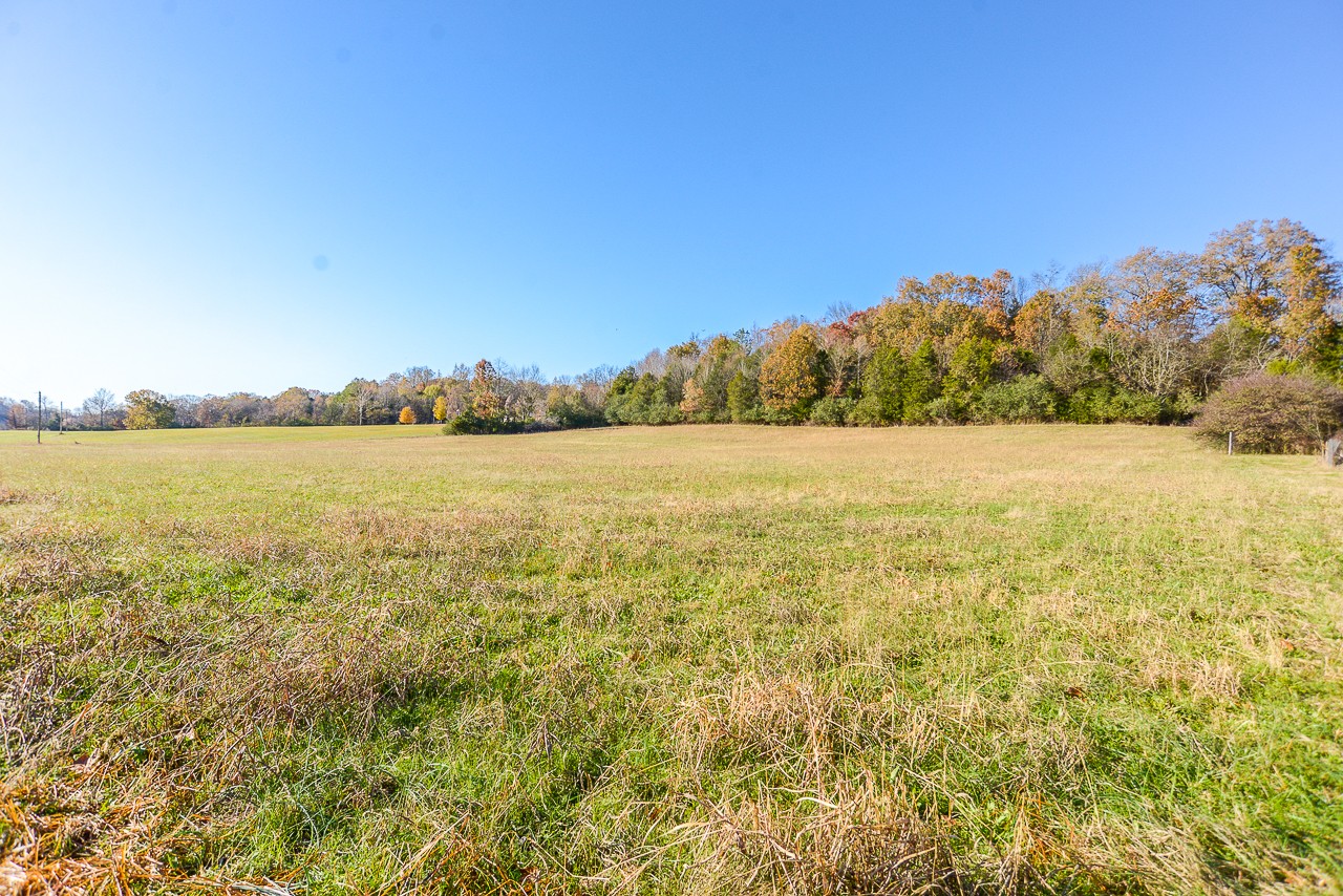 0 Clay Jones Road Taft, TN 38488 - Photo 4 of 30