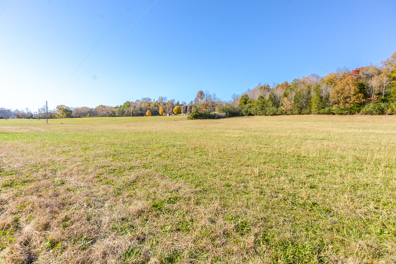 0 Clay Jones Road Taft, TN 38488 - Photo 5 of 30