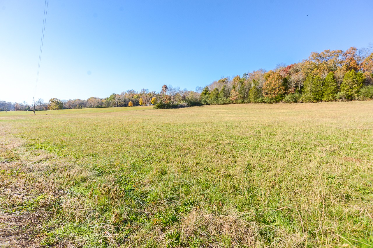 0 Clay Jones Road Taft, TN 38488 - Photo 6 of 30
