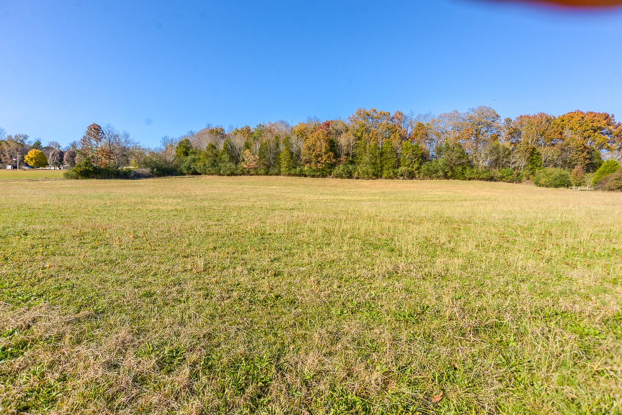 0 Clay Jones Road Taft, TN 38488 - Photo 7 of 30