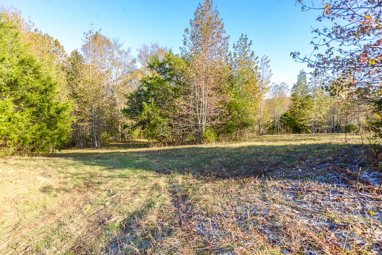 0 Clay Jones Road Taft, TN 38488 - Photo 9 of 30