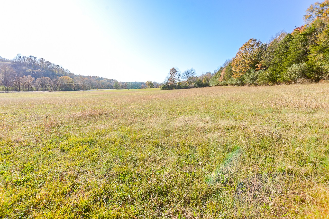 0 Clay Jones Road Taft, TN 38488 - Photo 10 of 30