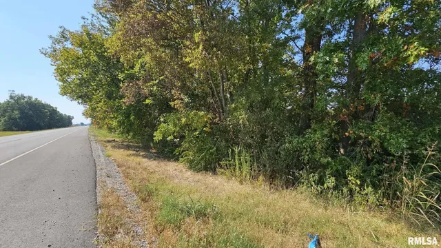 $9,500 | 0 Route 3 Highway, Grand Tower, IL 62942