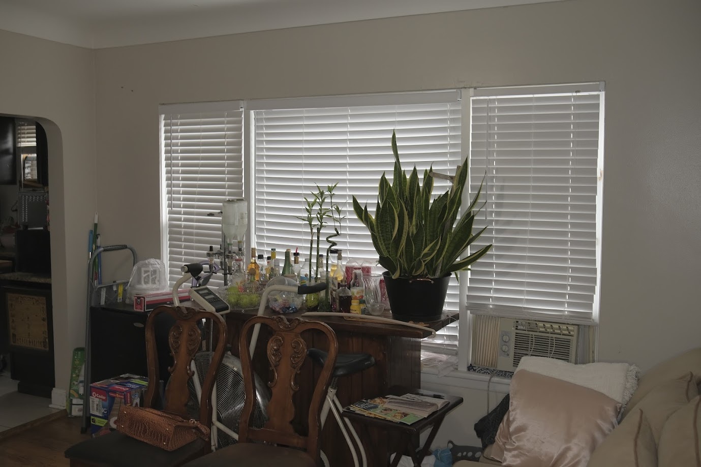 1651 West 79th Street Chicago, IL 60620 - Photo 15 of 29 a view of a livingroom with furniture and window