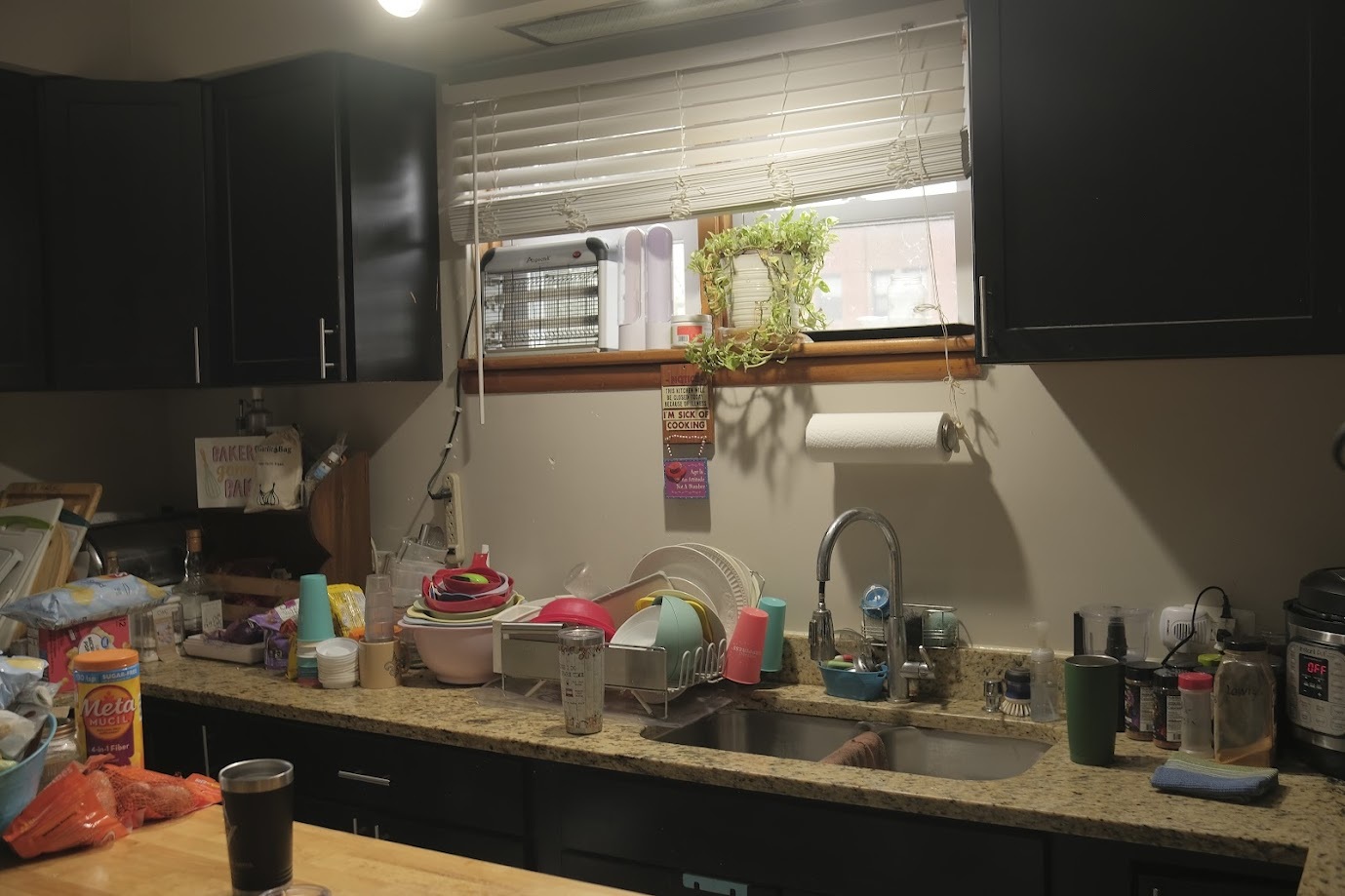 1651 West 79th Street Chicago, IL 60620 - Photo 20 of 29 a kitchen with sink and window