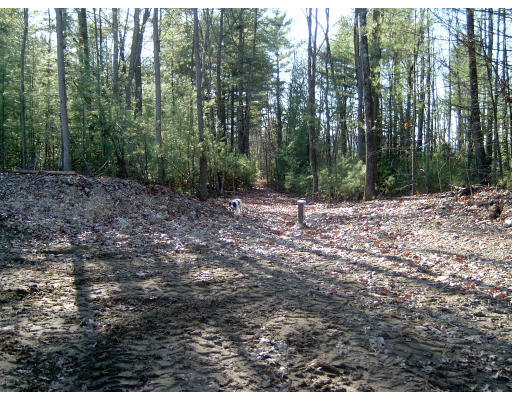 111 Gulf Road Belchertown, MA 01007 - Photo 4 of 6 Gallery Image 4
