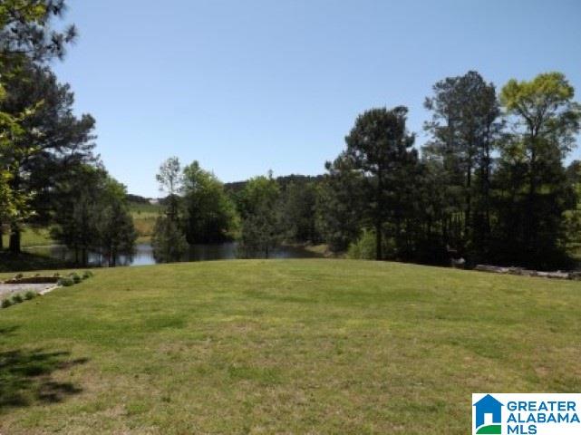626 Smith Road Oneonta, AL 35121 - Photo 34 of 47