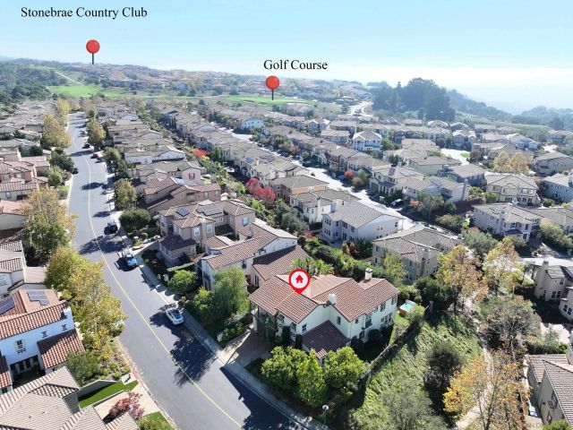 a view of a yard with plants