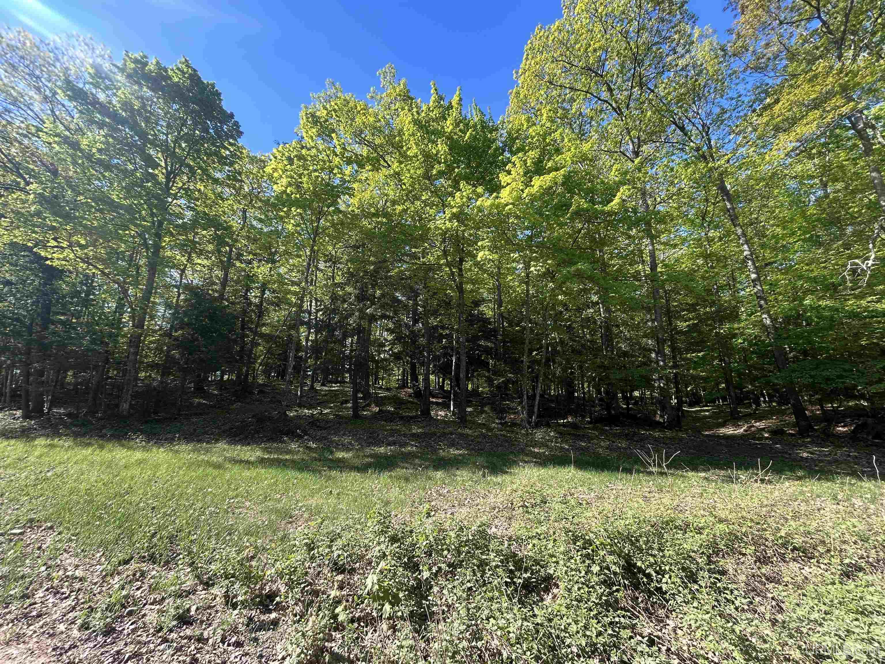 Tbd McClure Dm Road Negaunee, MI 49866 - Photo 1 of 16