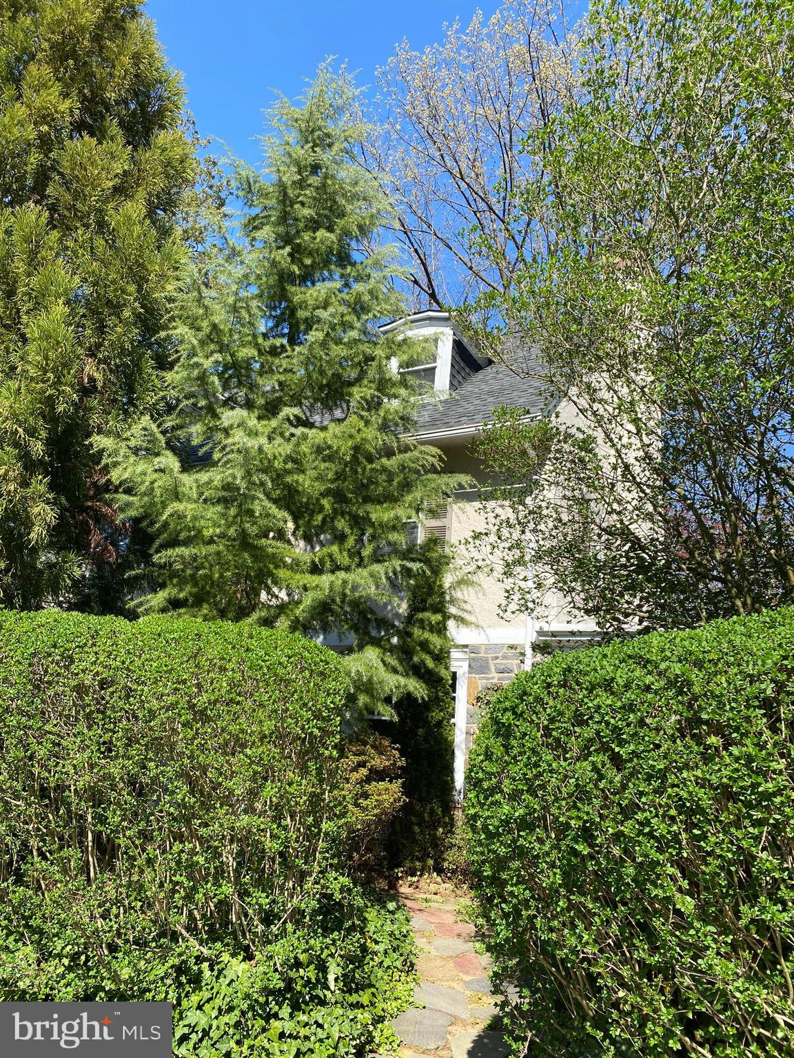 14 Snowden Road Bala Cynwyd, PA 19004 - Photo 2 of 59 Home tucked behind hedge
