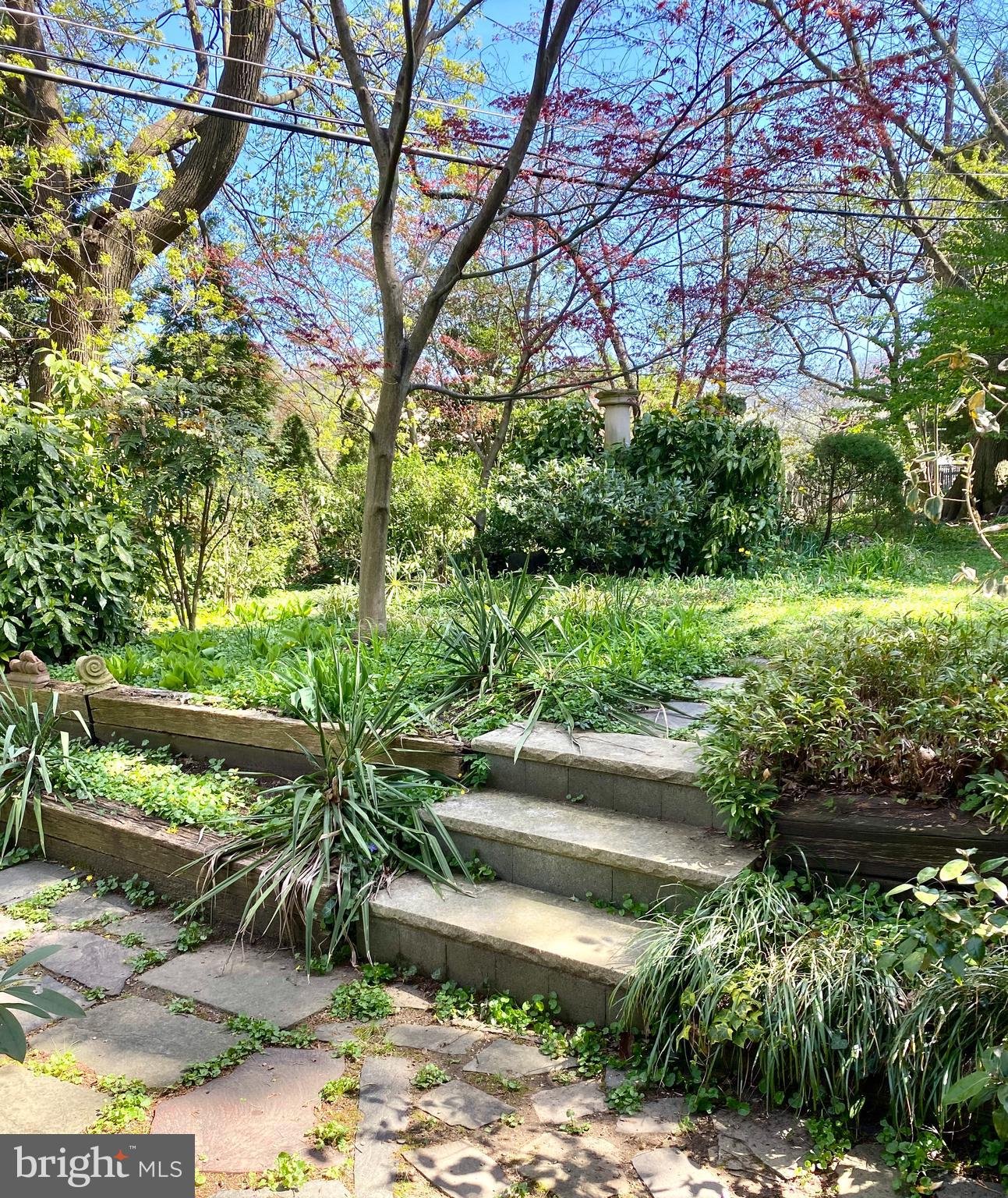 14 Snowden Road Bala Cynwyd, PA 19004 - Photo 49 of 59 Gallery Image 49