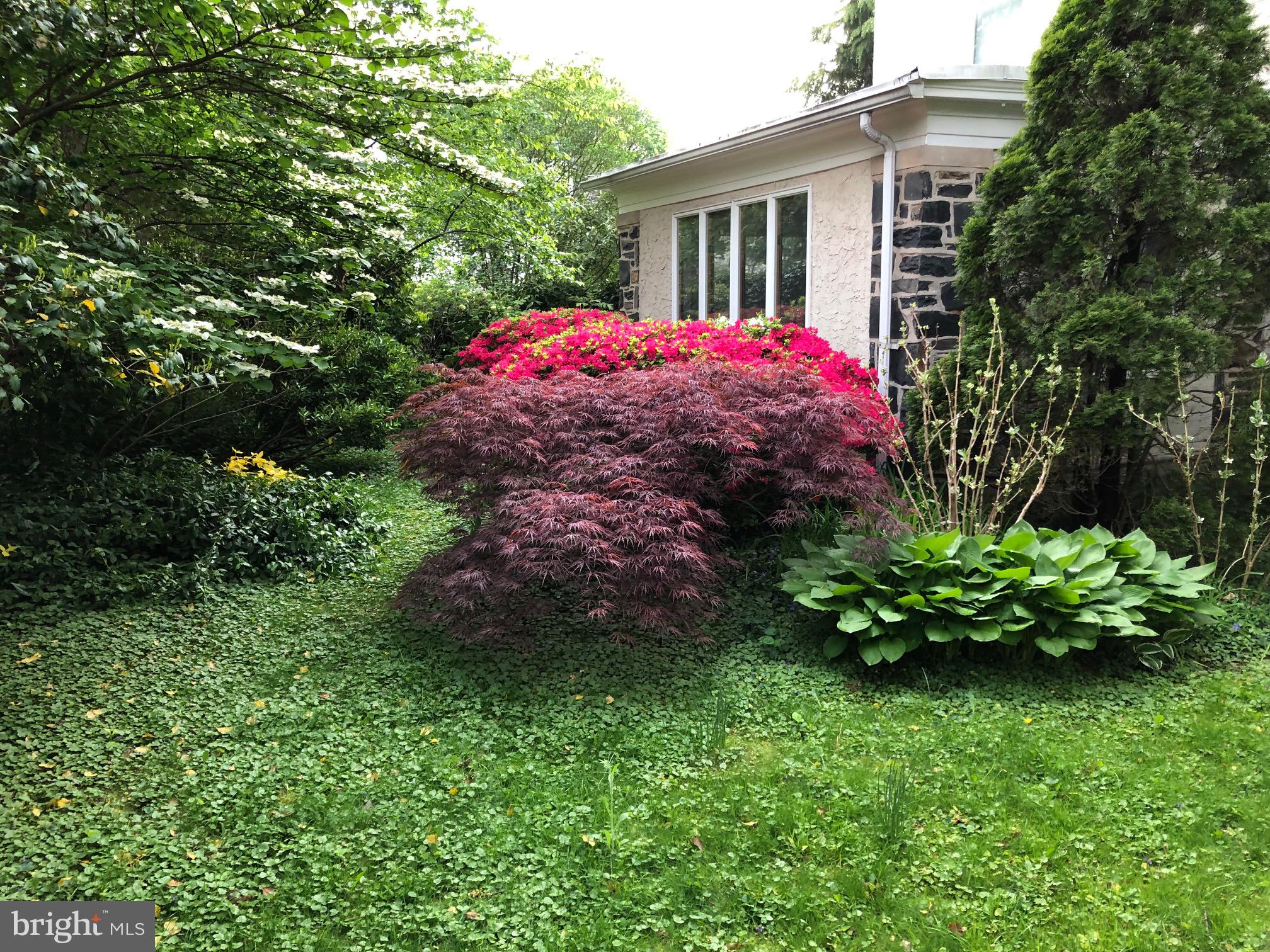 14 Snowden Road Bala Cynwyd, PA 19004 - Photo 51 of 59 It's spring!