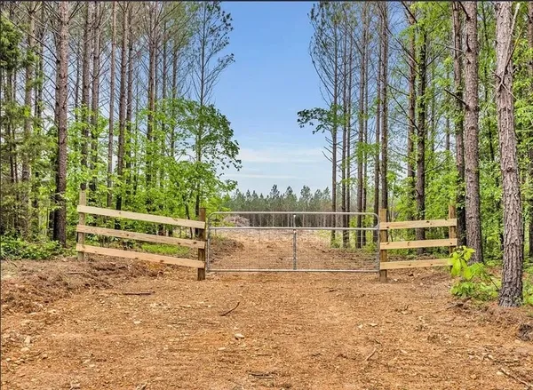a view of a park with large trees