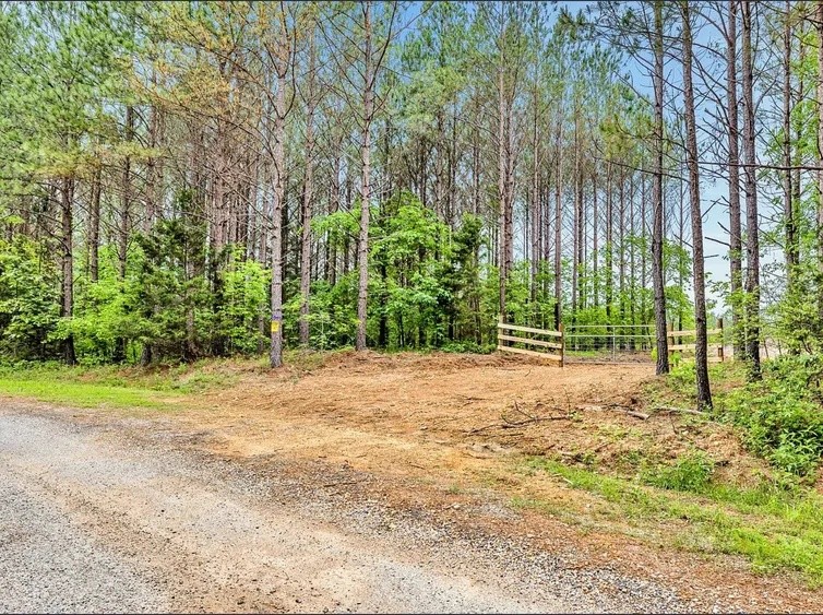 112 Cabin Road Hohenwald, TN 38462 - Photo 11 of 13 a view of a yard with plants and large trees