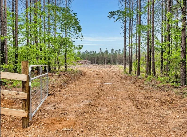 112 Cabin Road Hohenwald, TN 38462 - Photo 2 of 13 a view of a yard with plants and trees