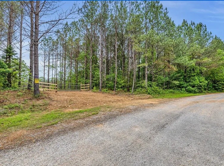 112 Cabin Road Hohenwald, TN 38462 - Photo 4 of 13 a view of a field with trees in front of it