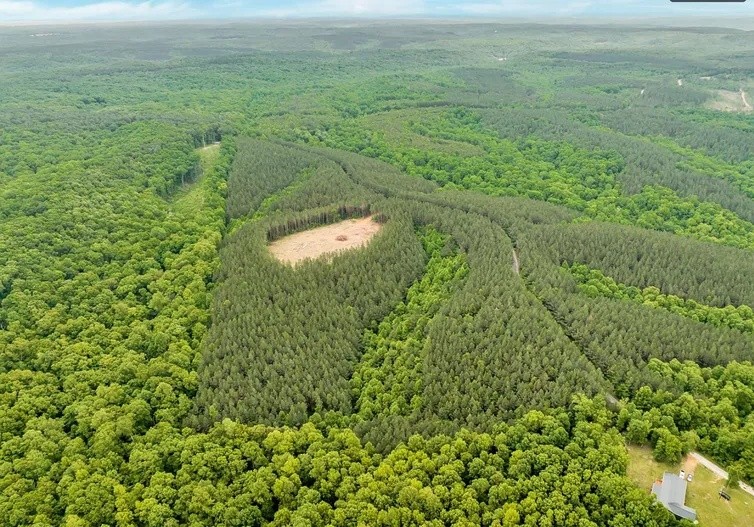 112 Cabin Road Hohenwald, TN 38462 - Photo 10 of 13 a view of a field of an ocean