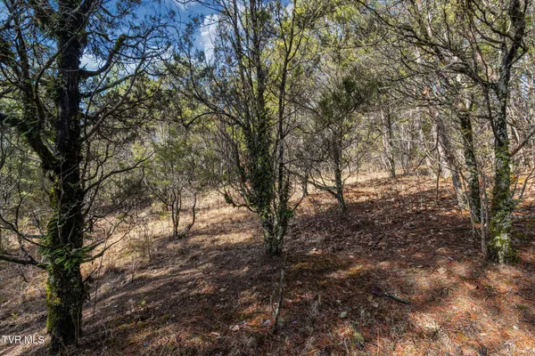 $216,000 | Tbd Democrat Road, Mohawk, TN 37810