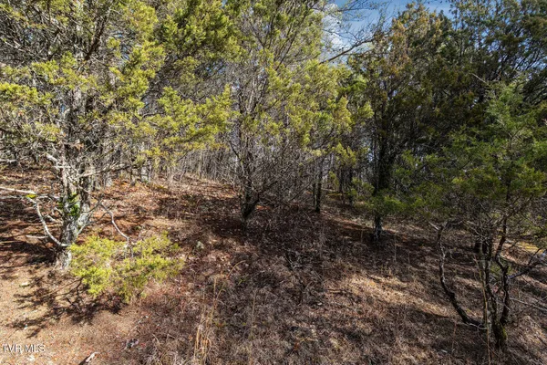 $216,000 | Tbd Democrat Road, Mohawk, TN 37810
