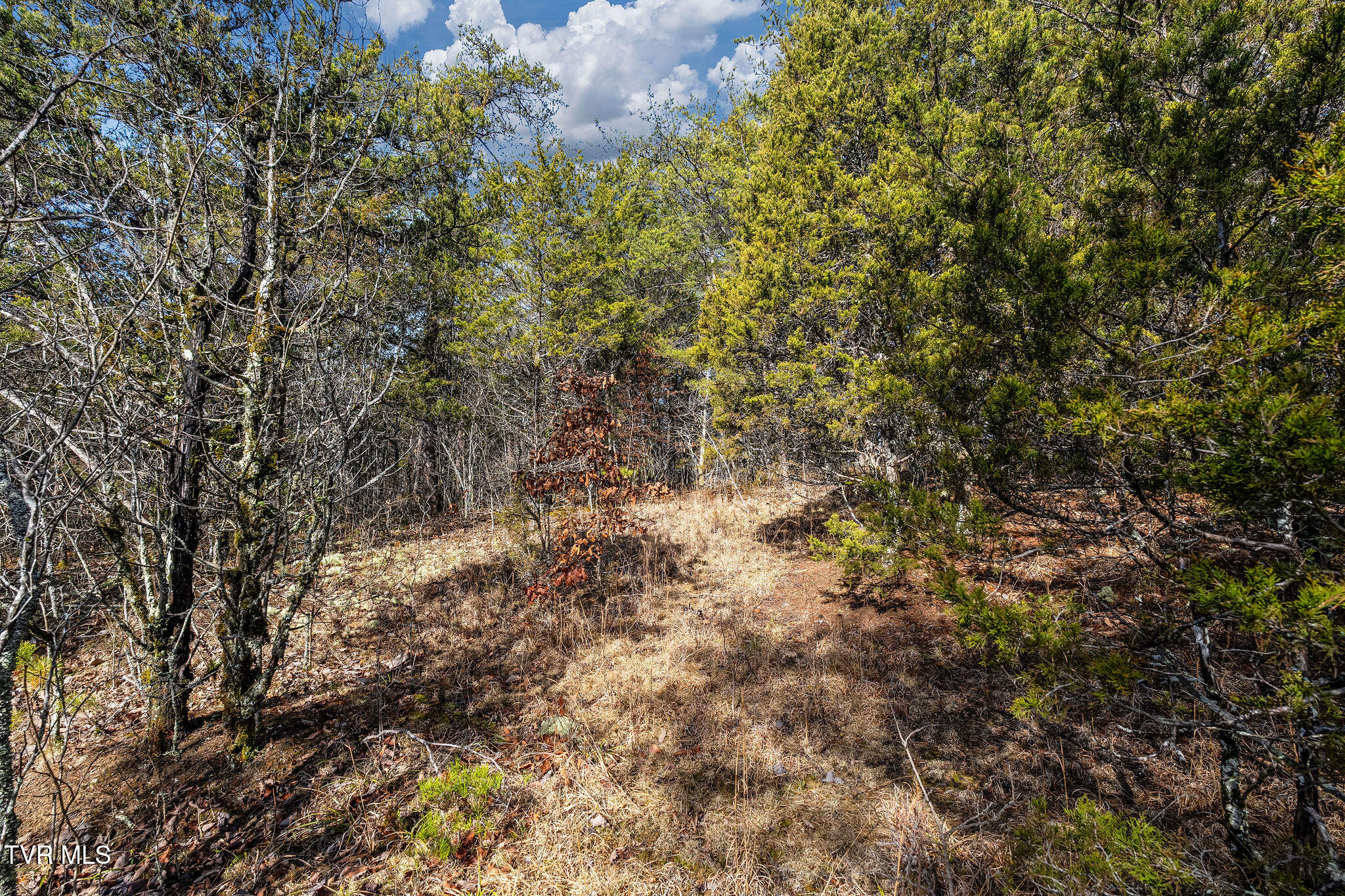 Tbd Democrat Road Mohawk, TN 37810 - Photo 15 of 18 DSC03824