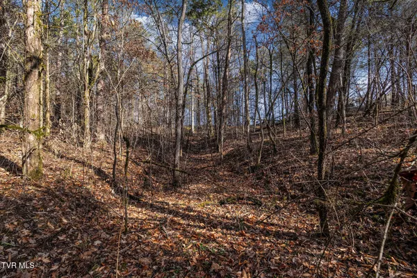 $216,000 | Tbd Democrat Road, Mohawk, TN 37810