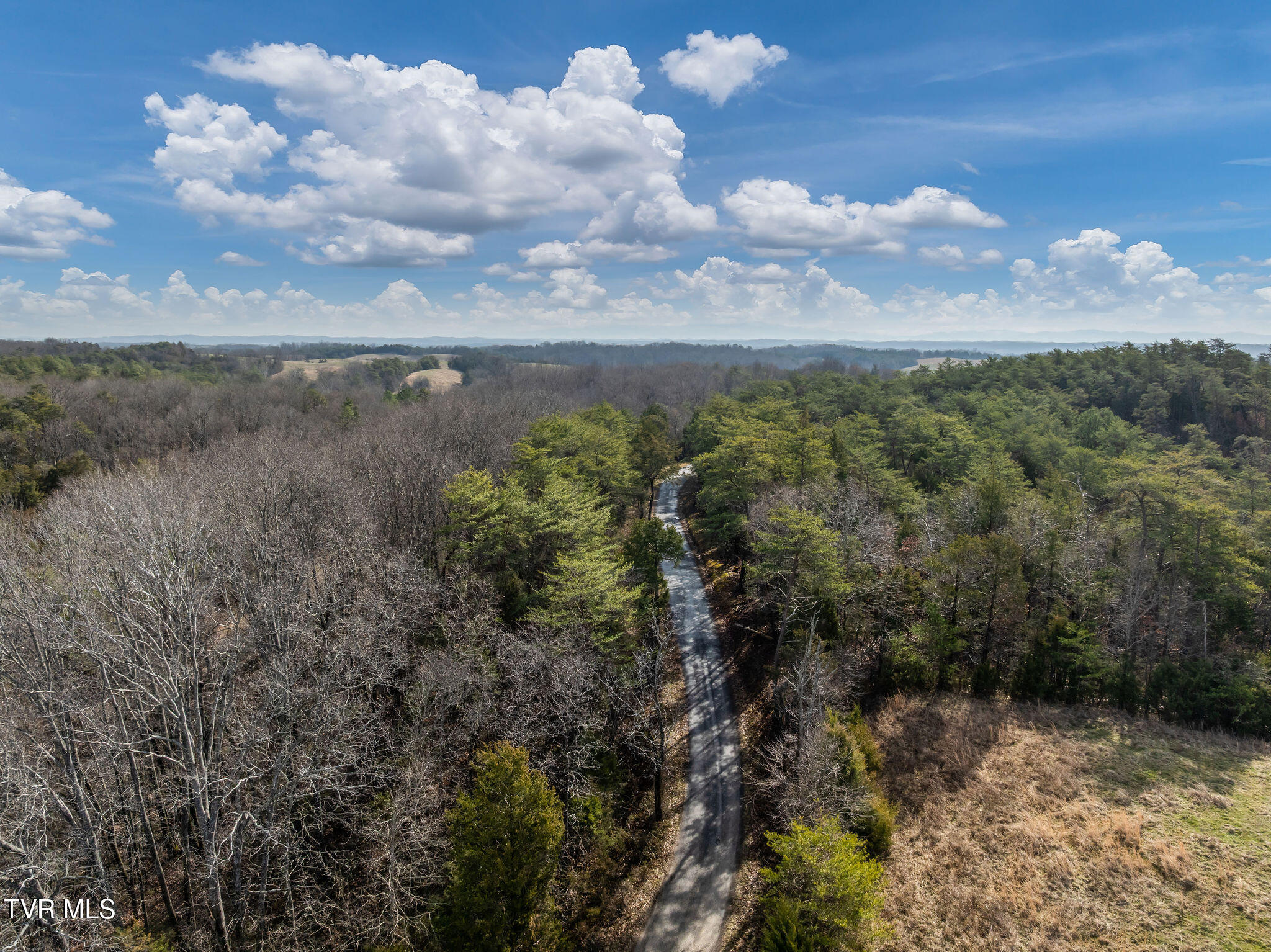 Tbd Democrat Road Mohawk, TN 37810 - Photo 5 of 18 DJI_0057