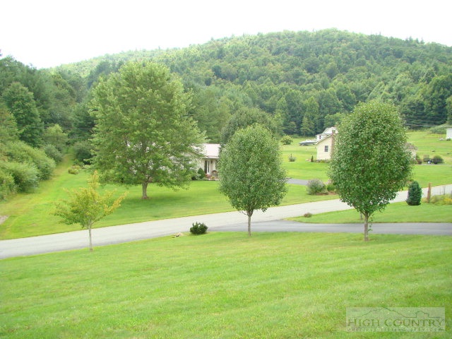124 Alex Wellborn Road Deep Gap, NC 28618 - Photo 21 of 26 a view of a tree in a park
