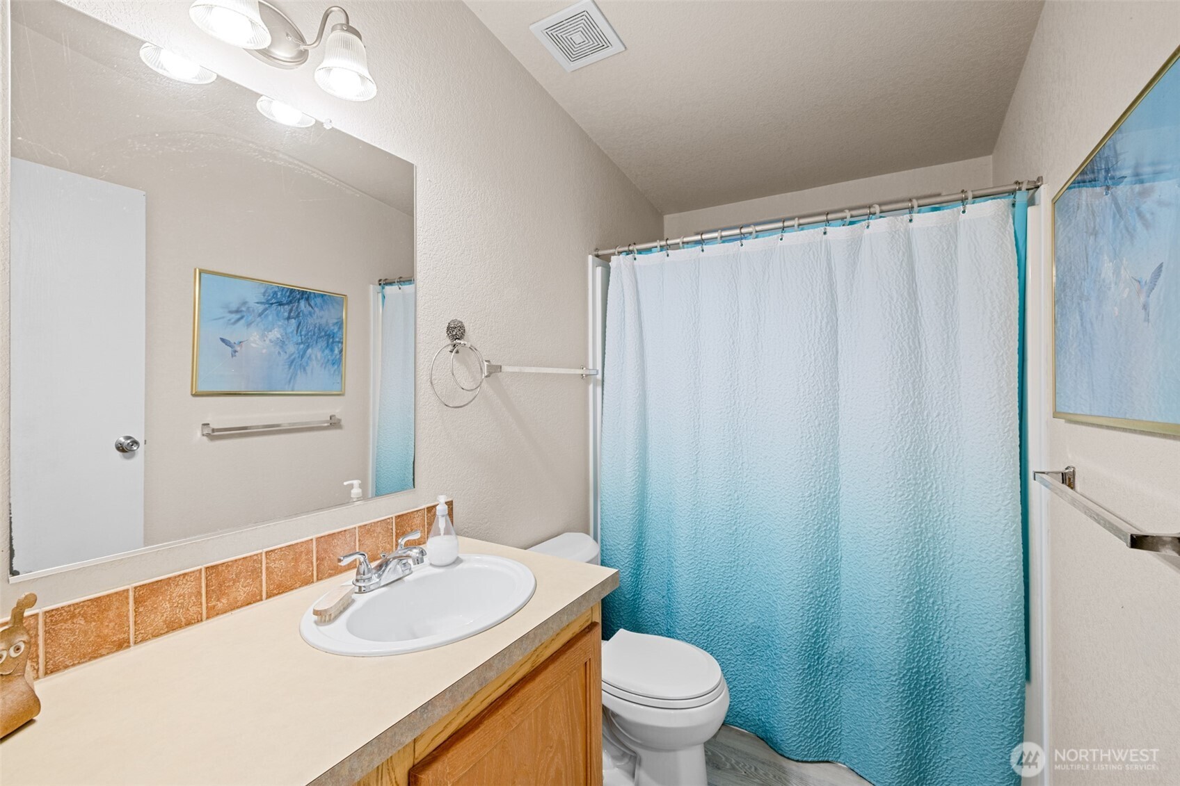 423 Fleming Drive Sequim, WA 98382 - Photo 21 of 33 a bathroom with a sink vanity mirror and toilet