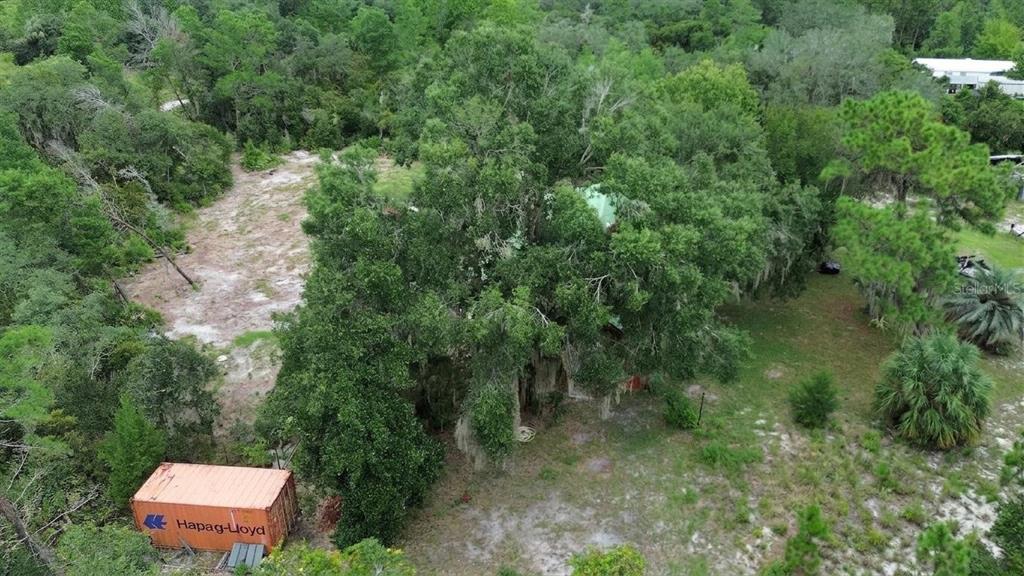698 Wild Acres Road Osteen, FL 32764 - Photo 46 of 46 Gallery Image 46