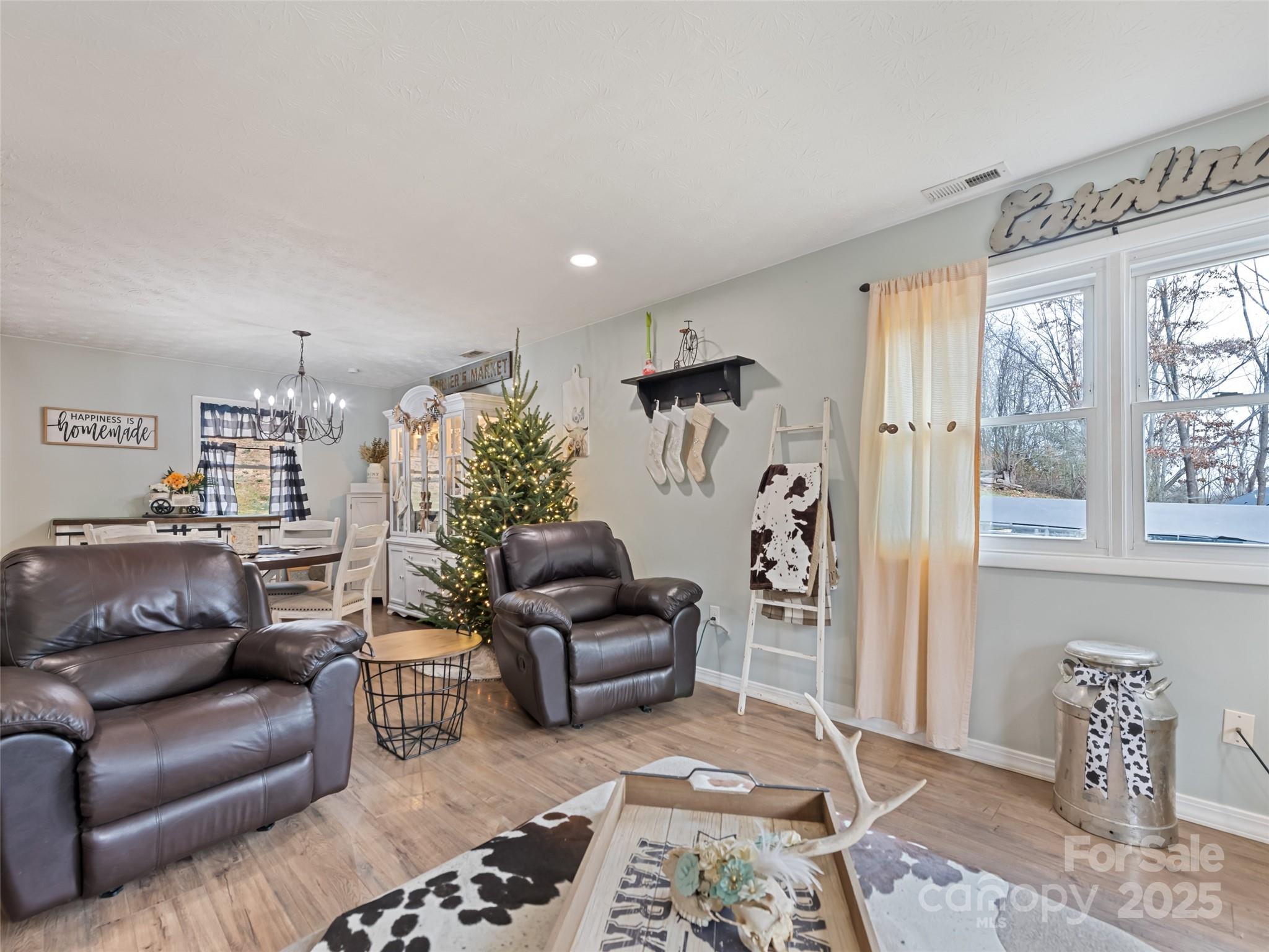 148 Mingus Cove Road Canton, NC 28716 - Photo 11 of 34 a living room with furniture and a rug