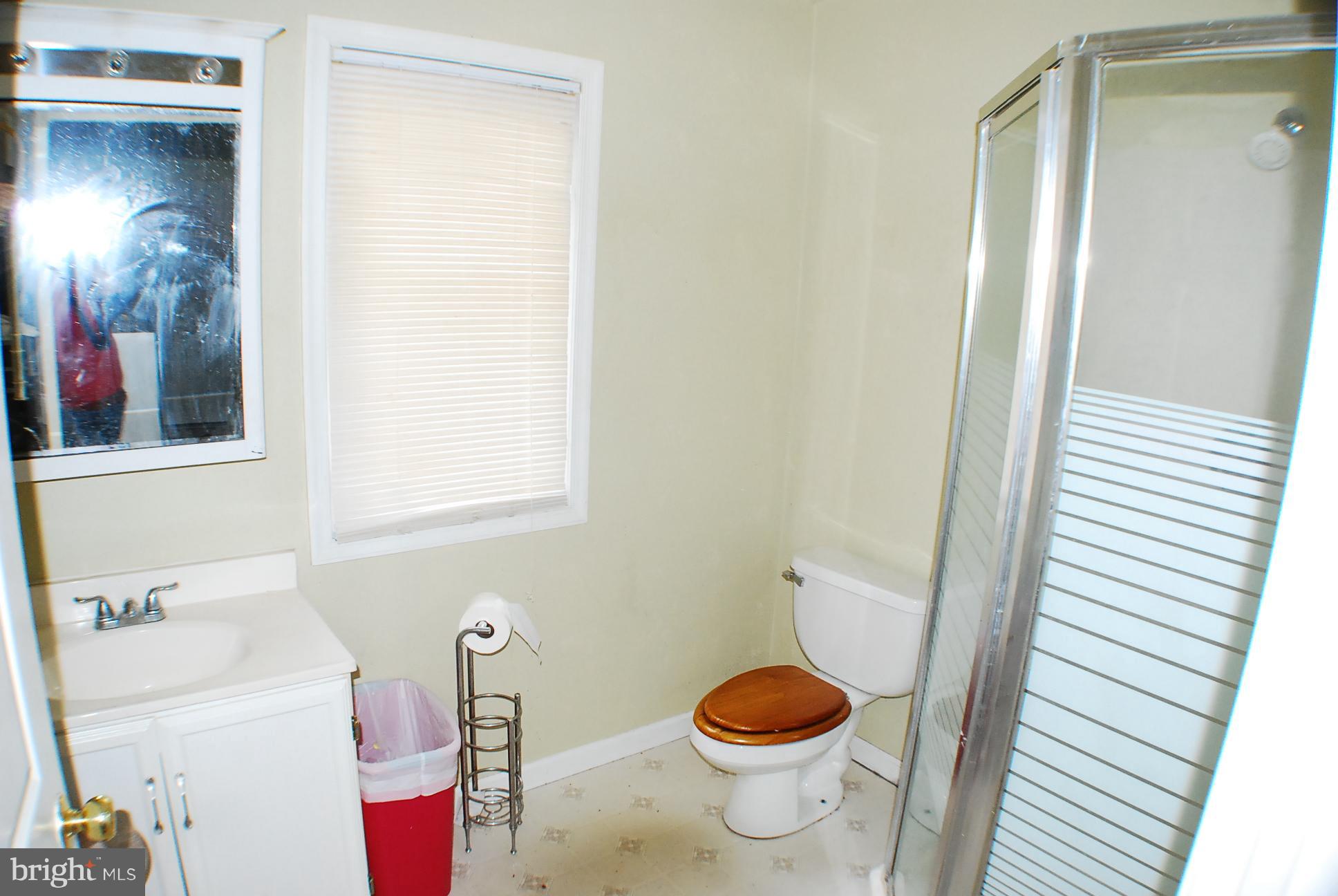350 Redland Road Cross Junction, VA 22625 - Photo 13 of 30 a bathroom with a toilet and a sink