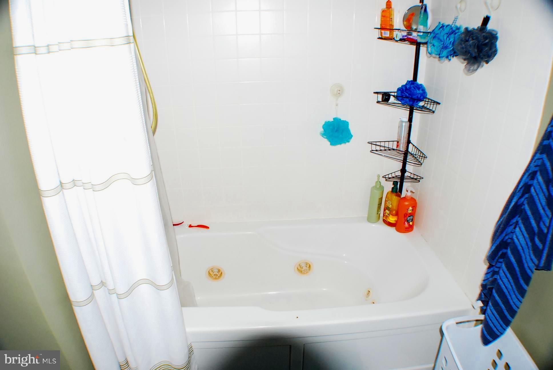 350 Redland Road Cross Junction, VA 22625 - Photo 15 of 30 a bathroom with a sink and a bathtub