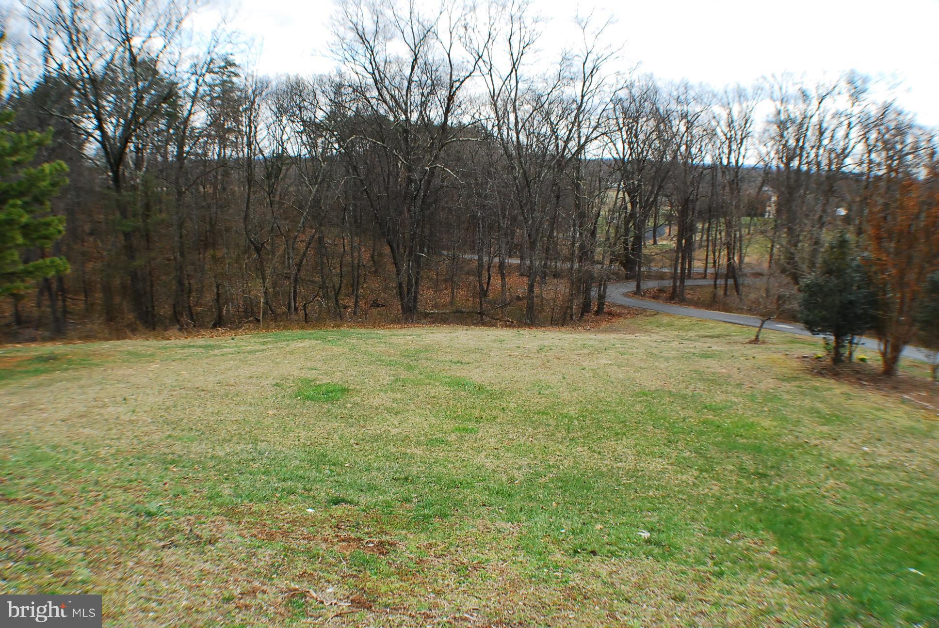350 Redland Road Cross Junction, VA 22625 - Photo 19 of 30 a view of patio with trees