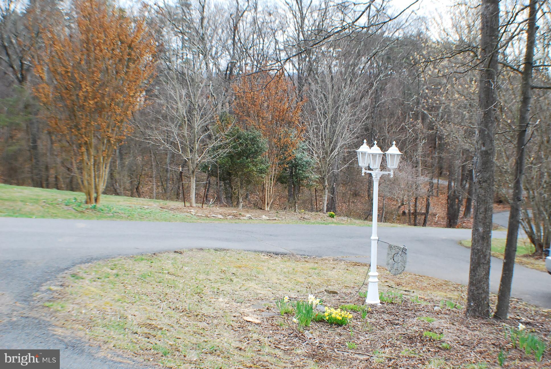 350 Redland Road Cross Junction, VA 22625 - Photo 26 of 30 a view of a yard with a tree
