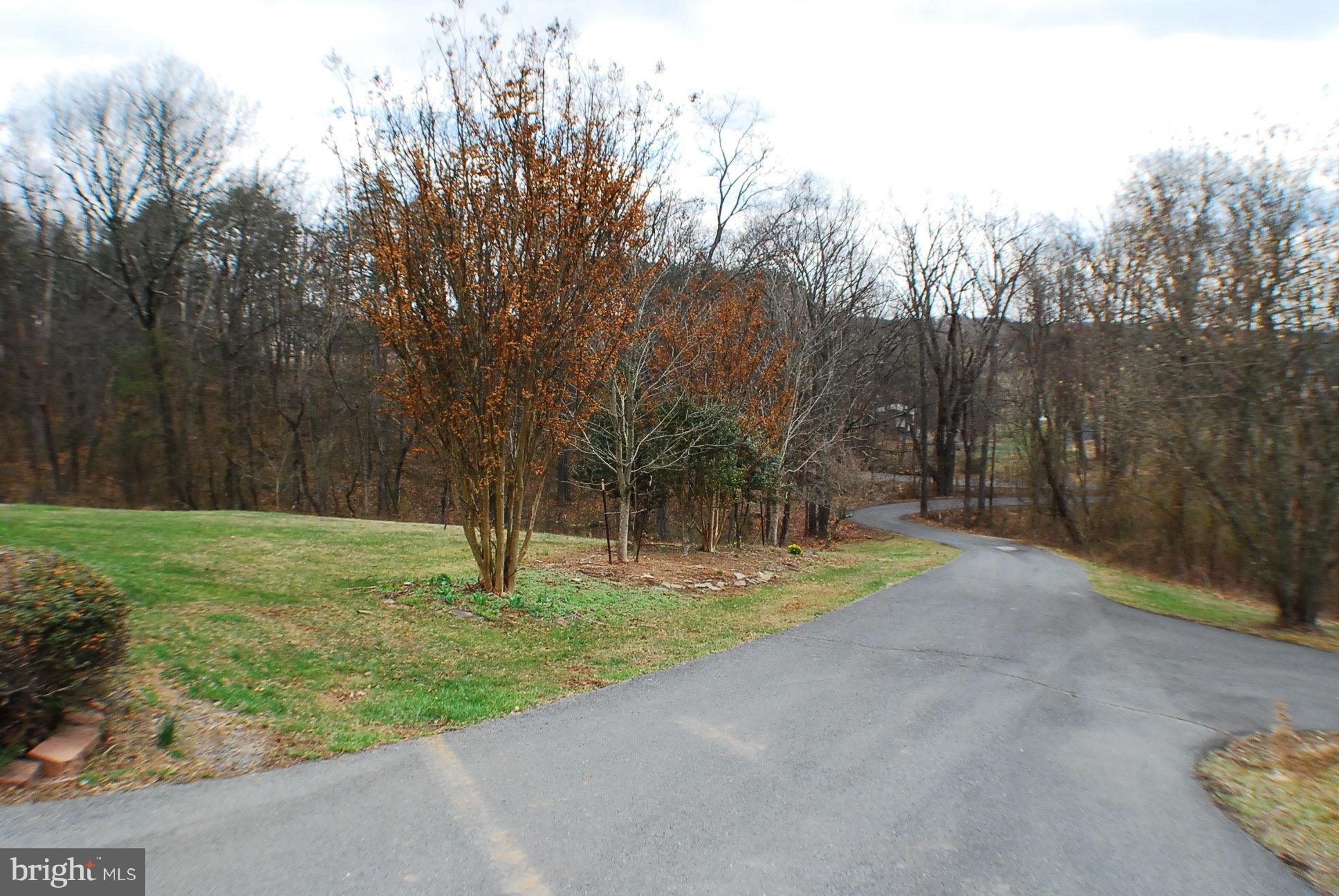 350 Redland Road Cross Junction, VA 22625 - Photo 29 of 30 a view of a park with large trees